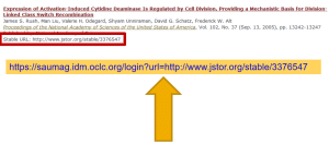 Make sure there is no extra space or character between the end of the Magale Library proxy extension’s equal sign and the beginning of the resource’s URL