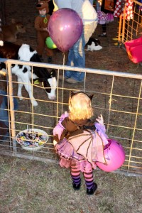 Boo in Banyard