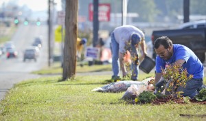 MMB putting donations to good use - landscaping