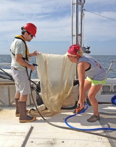 SAU Marine Biology professor Dr. Jesse Filburn